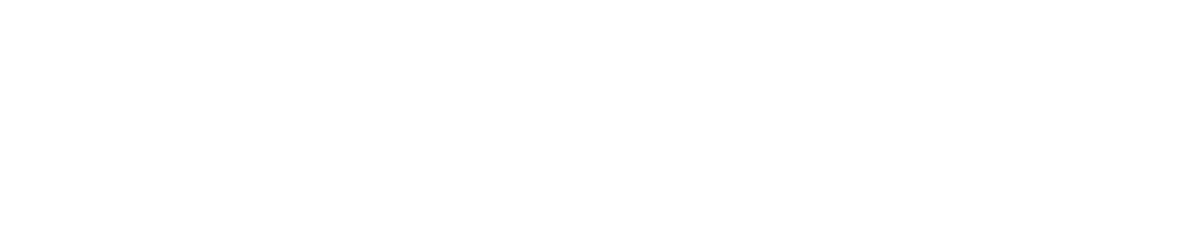 World Scout Conference Egypt 2024 VMS Portal